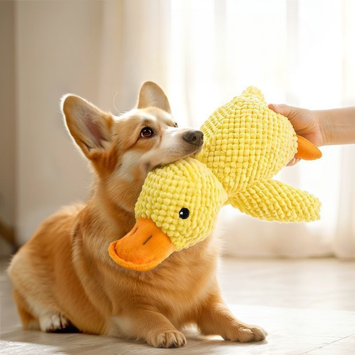 Squeaky Duck Plush