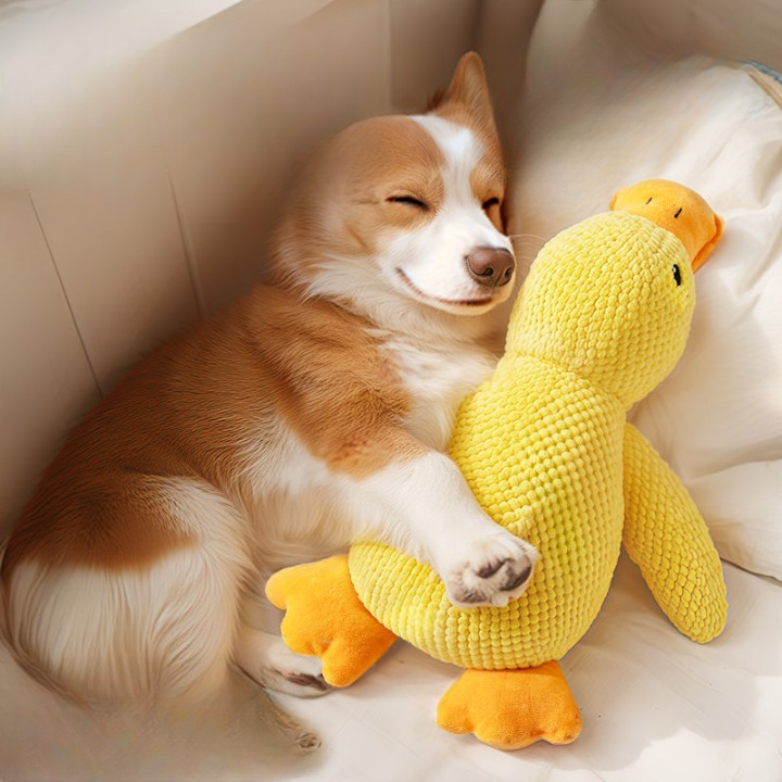 Squeaky Duck Plush