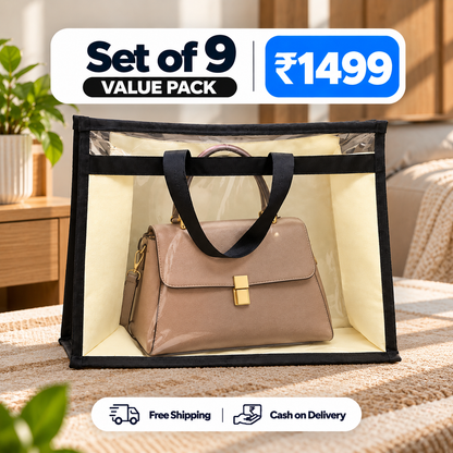 Transparent Storage Handbag