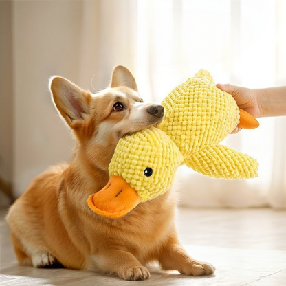 Squeaky Duck Plush