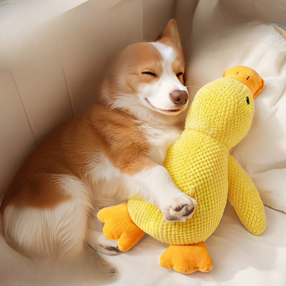Squeaky Duck Plush