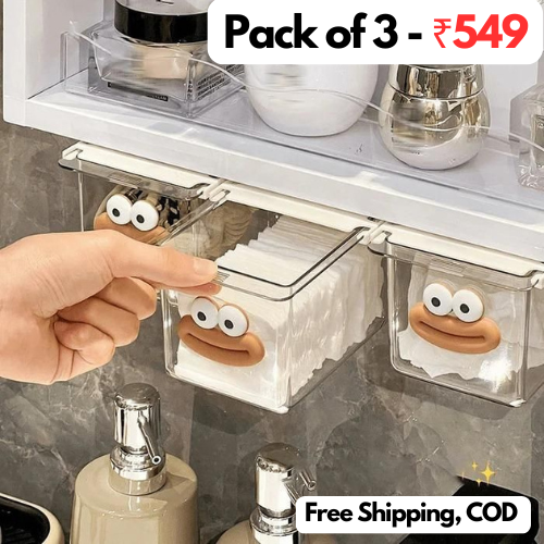 Pull-Out Storage Box