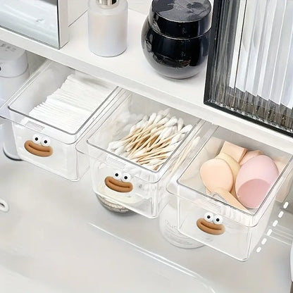Pull-Out Storage Box